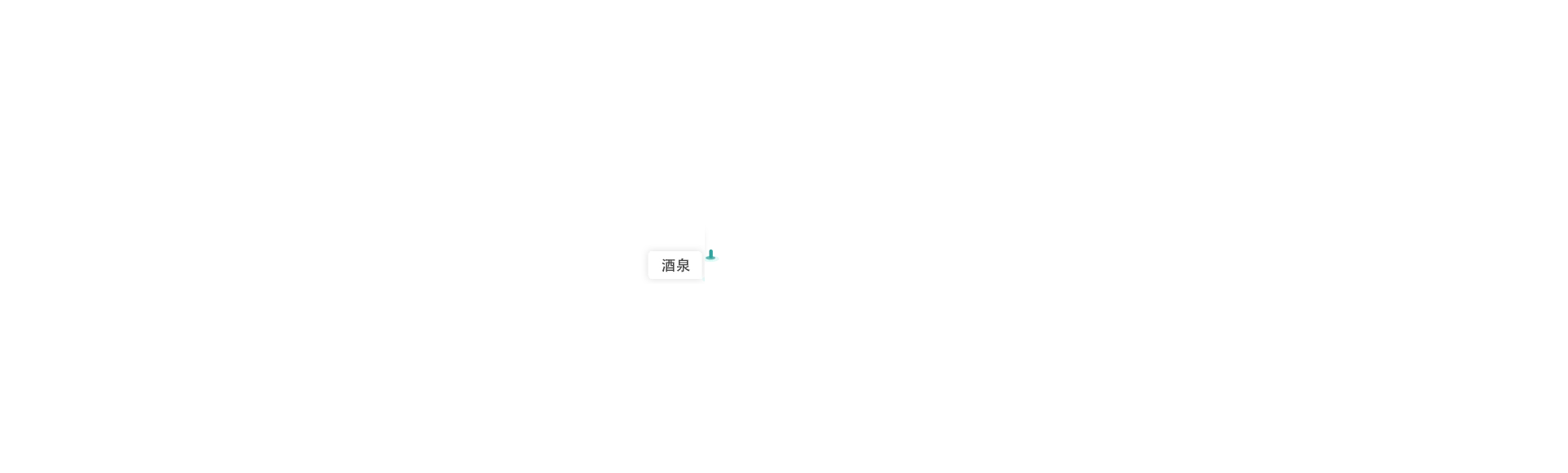 图瑞尔业务覆盖城市11